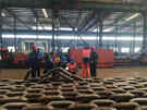 Offshore Mooring Chain Inspection